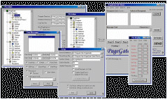 PageGate 9.0 screenshot