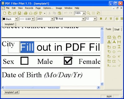 PDF Filler Pilot 1.35 screenshot