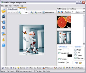 ReaGIF convert to GIF 2.3 screenshot