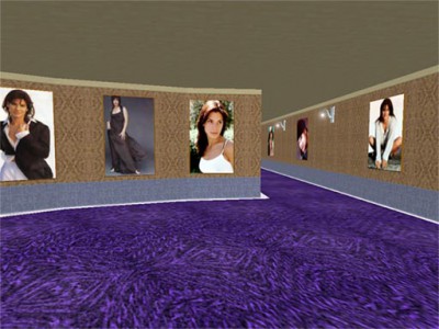 Sandra Ballock Ultimate virtual gallery 1.3 screenshot