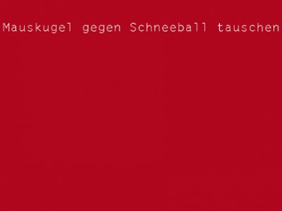 schlaegerei.de Winter Screensaver 5.00 screenshot