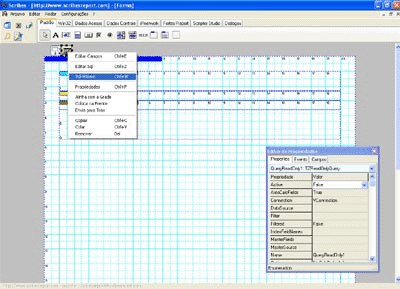 Scribes Report Tool 5.8.0.5 screenshot
