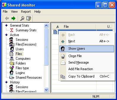 Shared Monitor 1.1 screenshot