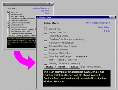 ShrinkerStretcher for MS Access 2000 2000.91 screenshot