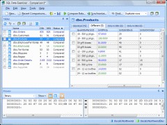 SQL Data Examiner 2008 R2 2.2.0.20 screenshot