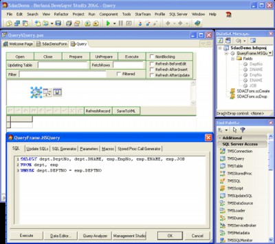 SQL Server Data Access Components for Rad Studio X 6.2 screenshot