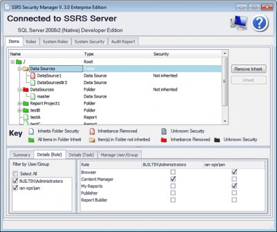 SSRS Security Manager 3.1 screenshot