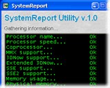 SystemReport 1.00 screenshot