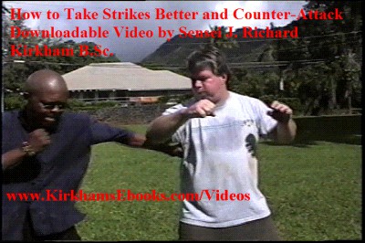 Taking Strikes Better 4 Self-Defense 1.0 screenshot