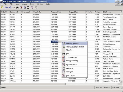 The Query Tool 2005 6.0.1 screenshot