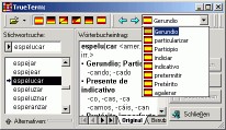 Travel Dictionary Spanish PC 5.0 screenshot