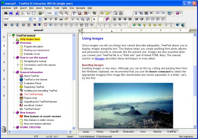 TreePad X Enterprise (12 Gb, single-user) 7.7 screenshot