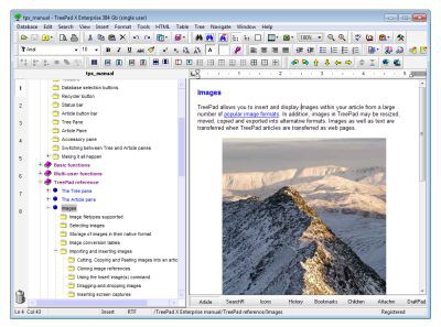 TreePad X Enterprise 12 Gb single-user 7.17 screenshot