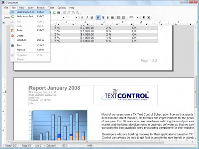 TX Text Control ActiveX Professional 13.0 screenshot
