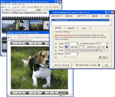 TZO Dynamic DNS Client with Photo Sharing 2.1.3 screenshot