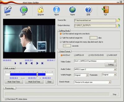 Video Splitter 1.7.8 screenshot