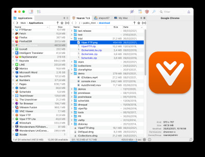 Viper FTP 6.3.4 screenshot