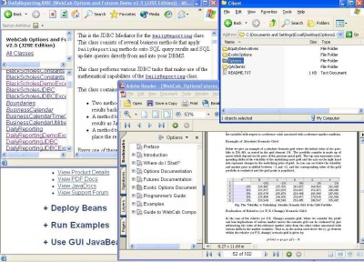 WebCab Options (J2SE Edition) 3.1 screenshot