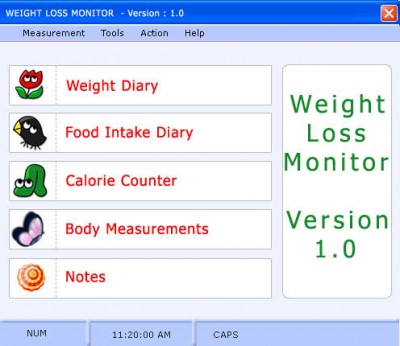 Weight Loss Ezee Monitor 1.0 screenshot