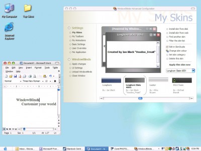WindowBlinds4.6 4.6 screenshot