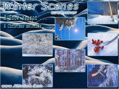 Winter Scenes Screensaver 1.0 screenshot