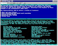 Witzend Text Editor for DOS 5.0 screenshot