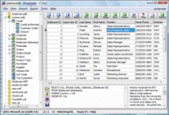 xBaseView Database Explorer 11.0 screenshot