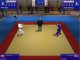 3D Judo Fighting 1.12