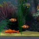 3D Salt Water Fish Tank