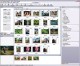 ACDSee 8 Photo Manager