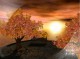 AD Autumn Sunset - Animated 3D Wallpaper