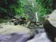 AD Jungle Waterfall - Animated Desktop Wallpaper