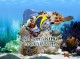 Amazing 3D Aquarium - Animated Screensaver and Wal