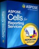 Aspose.Cells for Reporting Services