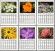 Blumen-Kalender 2006