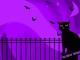 Cat and Bats Halloween Wallpaper