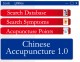 Chinese Accupuncture 1.0
