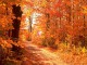 Colors of Autumn DesktopFun Screens...
