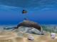Dolphin Aqua Life 3D Screensaver 3.1.0