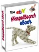 Ebay Misspellings - Typo Location Tool