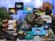 FP :: Amazing 3D Aquarium ADD-on  :: Genicanthus F