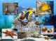 Go Amazing 3D Aquarium - Screensaver