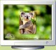 Koala Screen Saver 2.0