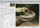 PhotoZoom Pro for Mac