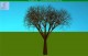 Tree screensaver